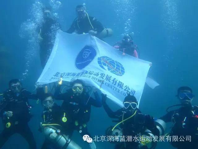 DMF-0.1型DN450电磁式煤气安全切断阀、防爆瓦斯电磁式煤气安全切断阀
